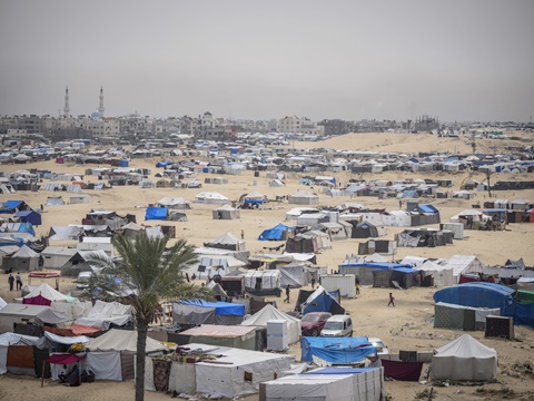 אוהלי פליטים פלשתינים סמוך לגבול המצרי ברפיח [צילום: עבד אל קרים חנה, AP]